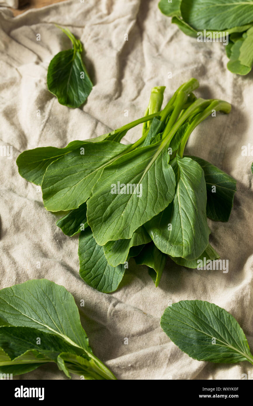 Materie verde cinese organico Gai Lan pronto per cucinare Foto Stock