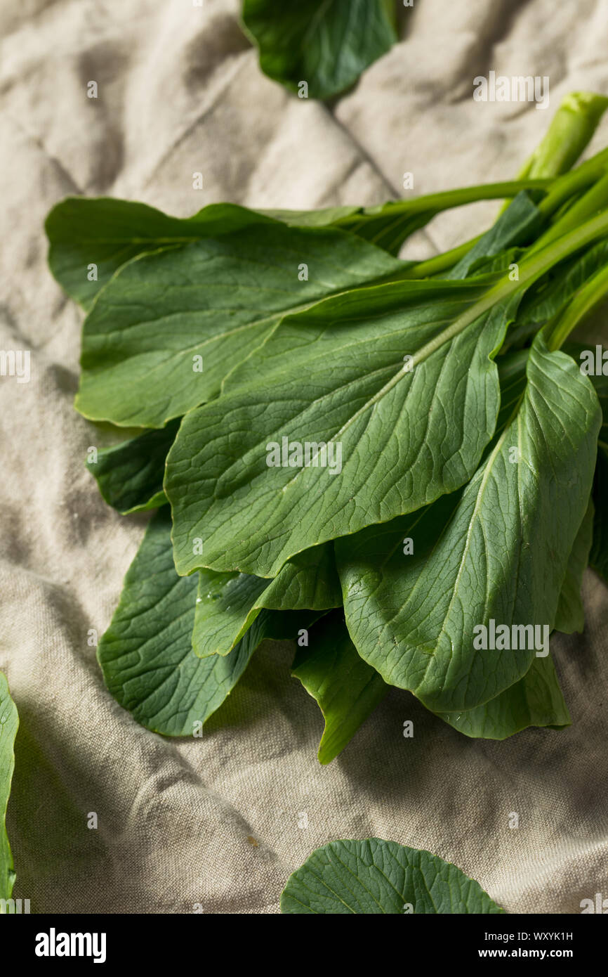Materie verde cinese organico Gai Lan pronto per cucinare Foto Stock