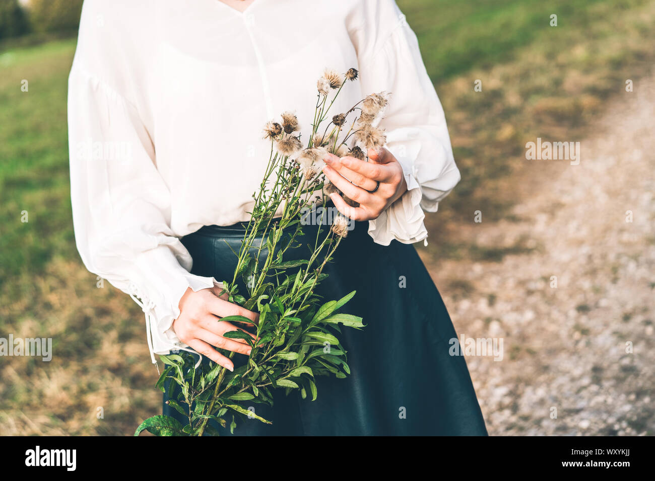 Giovane donna in un campo contiene un ramo di soffici autunno di tarassaco nelle sue mani Foto Stock