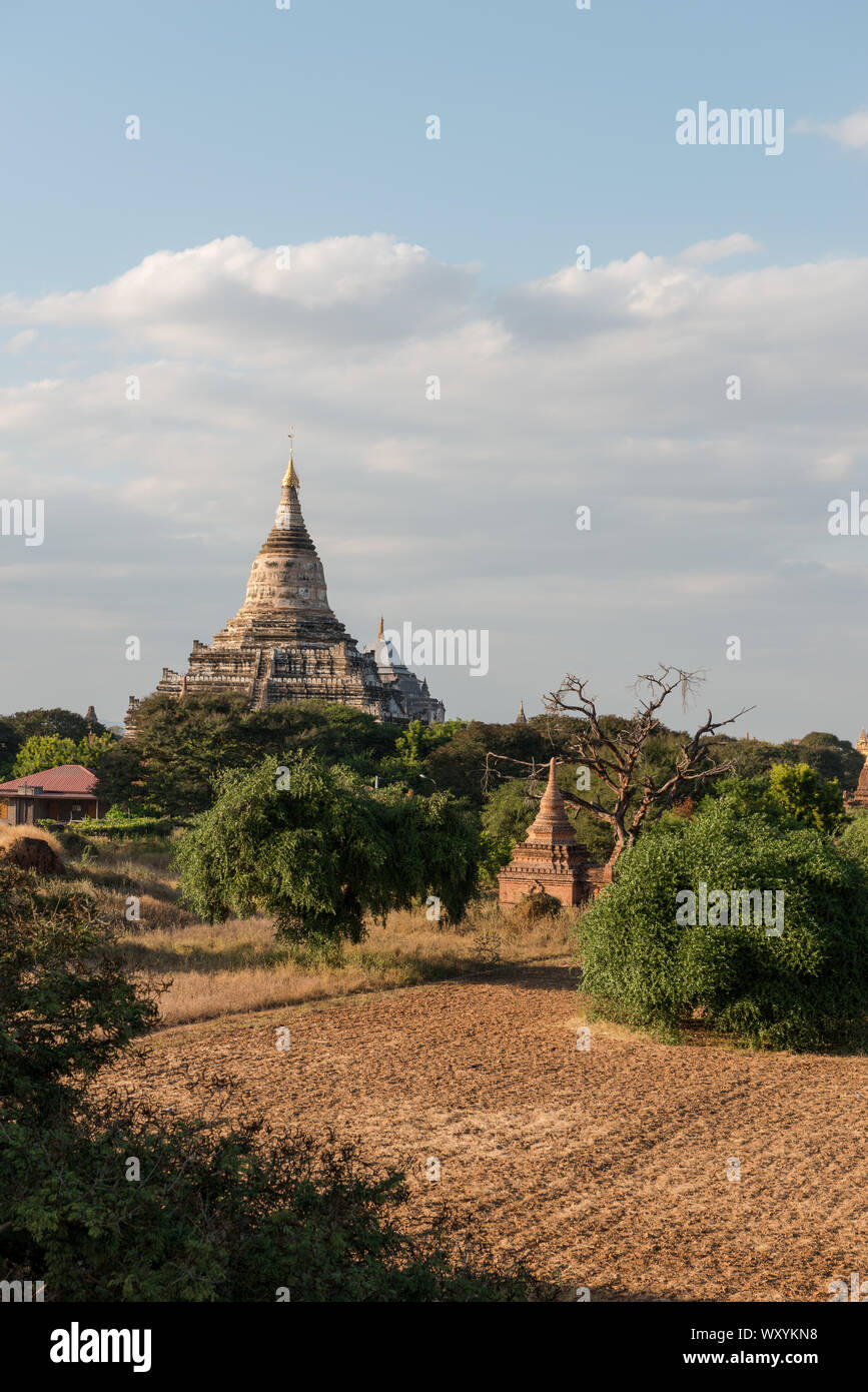 Immagine verticale del parco archeologico di Bagan con antichi templi buddisti in Myanmar Foto Stock