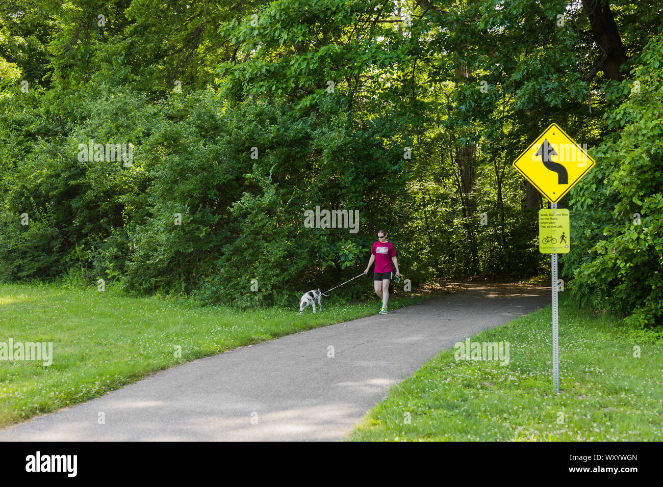 Una donna cammina il suo cane sulla Rivergreenway come emerge dal treeline a Shoaff Park a Fort Wayne, Indiana, Stati Uniti. Foto Stock