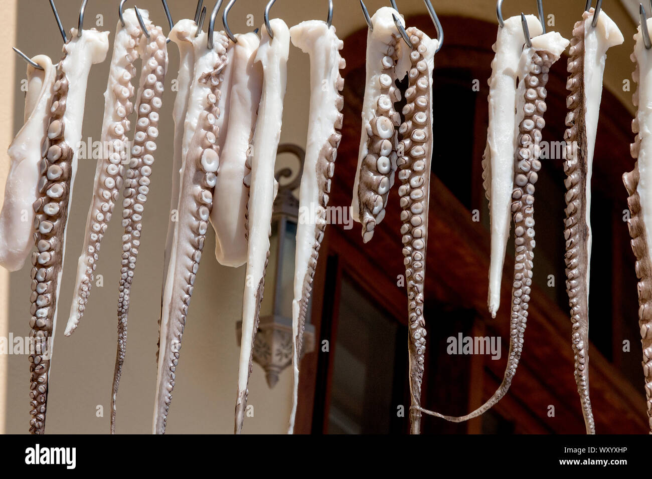 Calamari dockside appeso per pranzo vendite sull'isola greca di Gythion Foto Stock