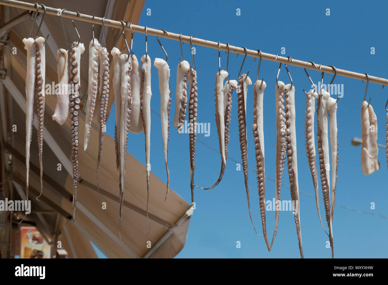 Calamari dockside appeso per pranzo vendite sull'isola greca di Gythion Foto Stock