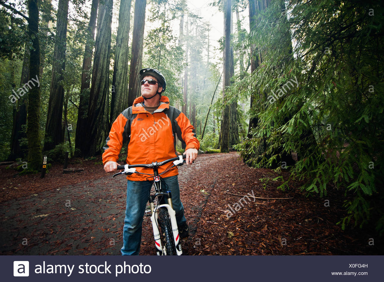 big basin mountain biking