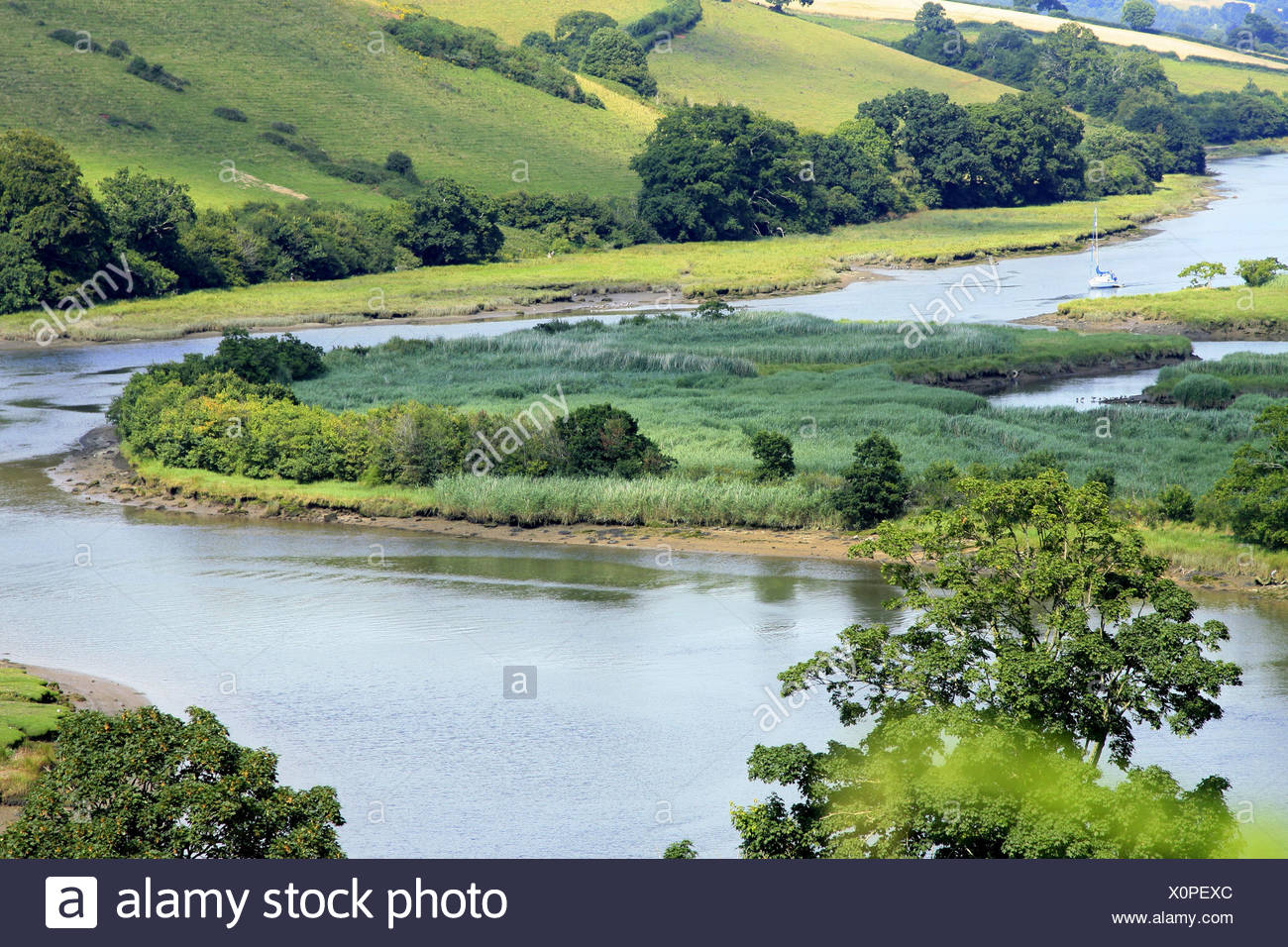 Regno Unito Devon Totnes Paesaggio Fluviale Estate Inghilterra Paesaggio Di Rotolamento Fiume Il Corso Di Un Fiume Natura Paesaggio Stagione Idillio Foto Stock Alamy