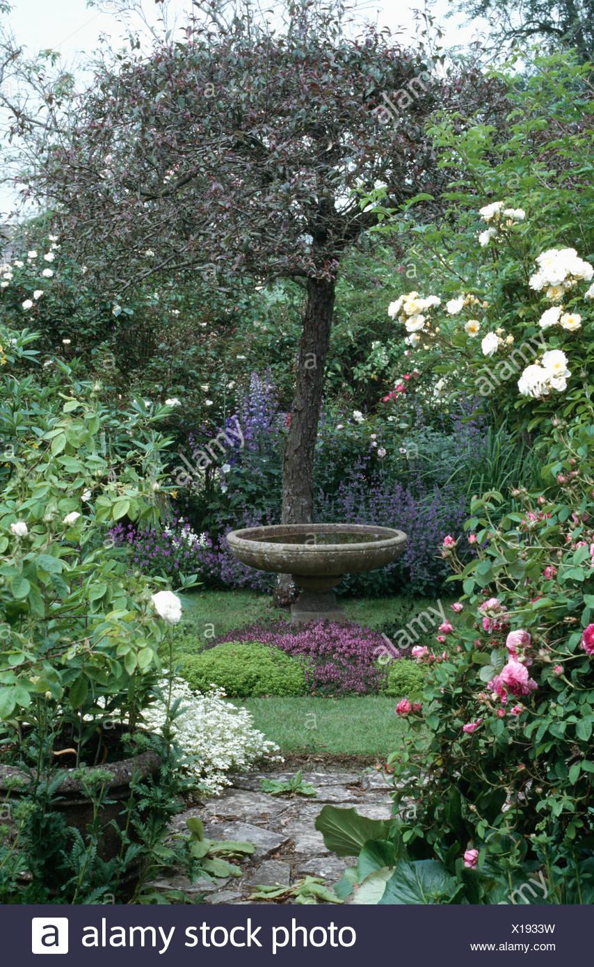 Rosa e rose bianche su entrambi i lati di un percorso di pietra in ... Giardini con pietre bianche