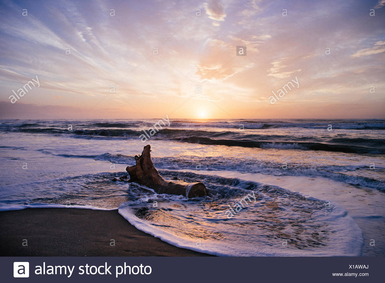 Pescia Immagini Pescia Fotos Stock Alamy