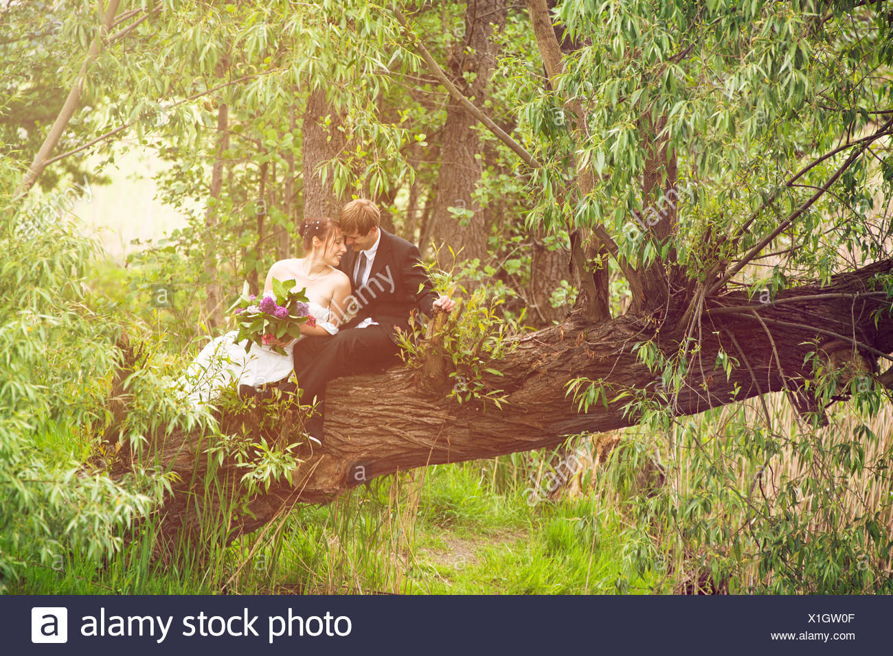 Sposa e lo sposo seduta innamorato su un albero, Foto Stock