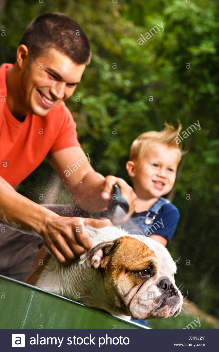 Caucasian Padre E Figlio Toddler Dando Bulldog Inglese Una Vasca Da Bagno All Aperto Foto Stock Alamy