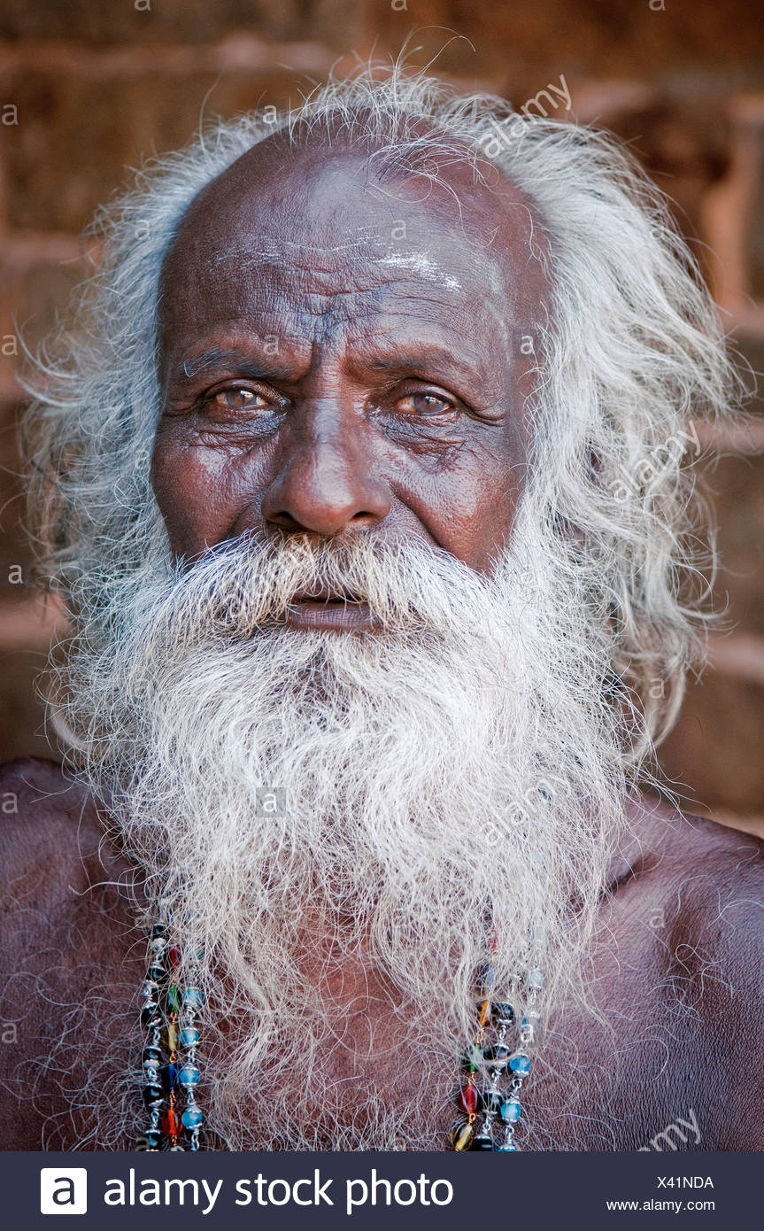 Anziani sadhu uomo con la barba bianca e i capelli Karaikudi, Tamil Nadu,  India meridionale, India, Asia Foto stock - Alamy