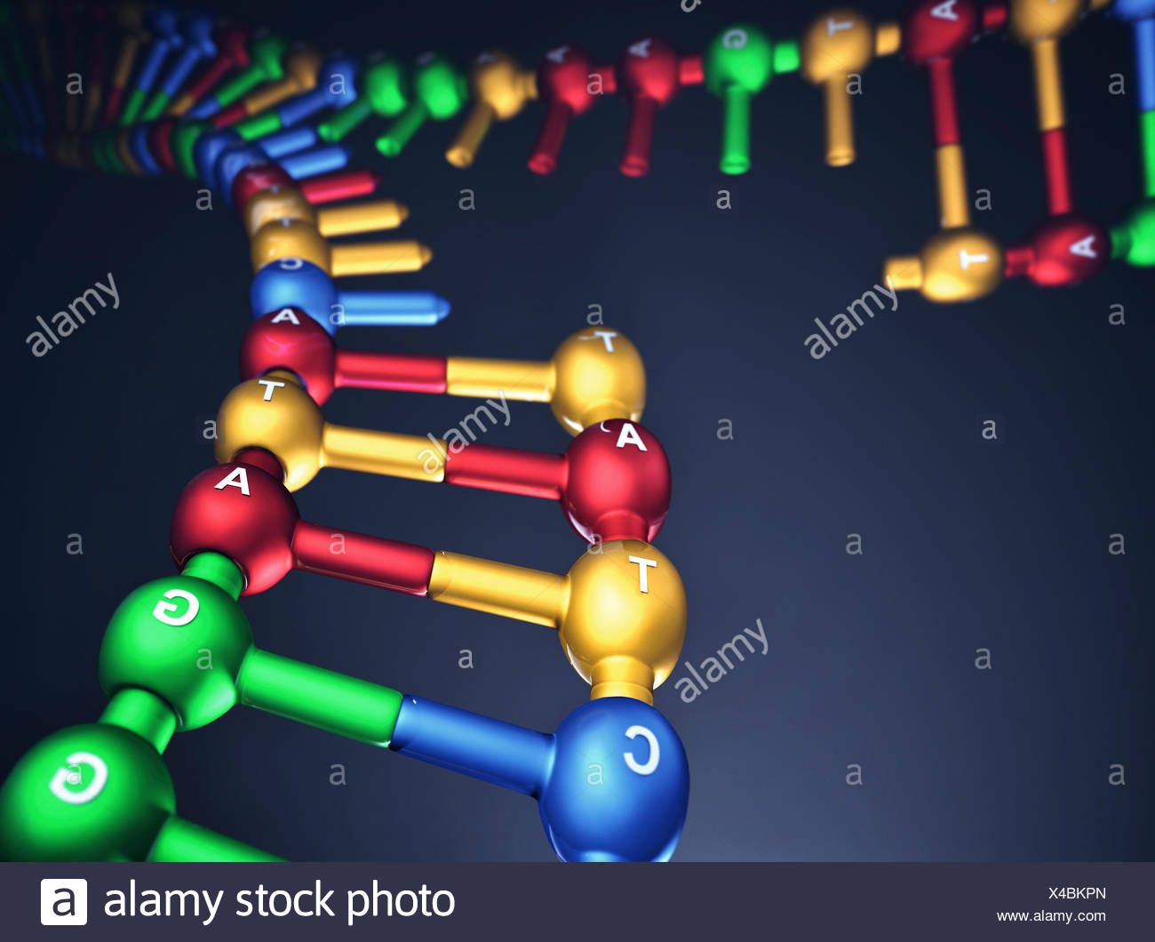 Dna Acido Desossiribonucleico Strand Illustrazione Foto Stock Alamy