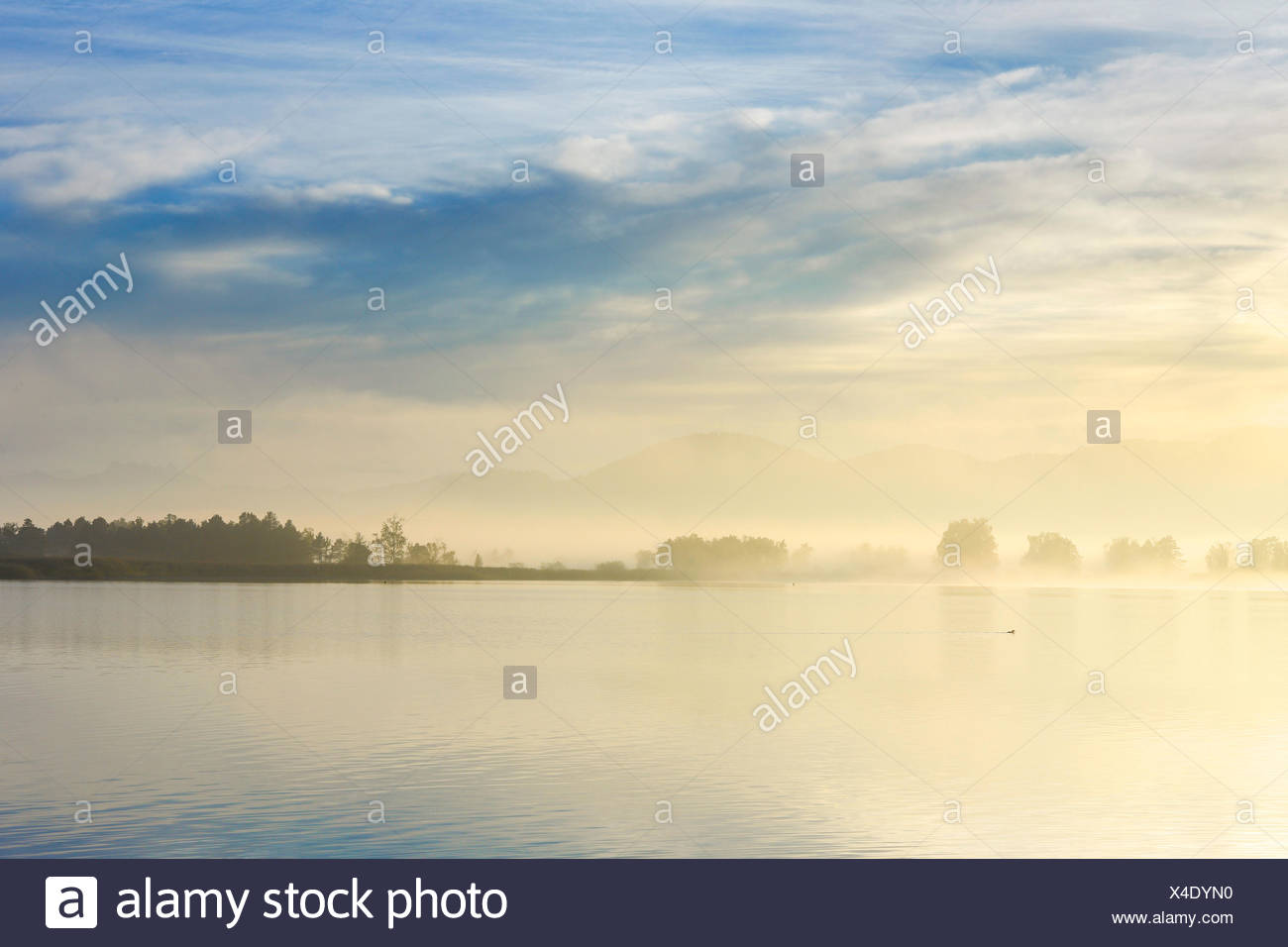 Stato D Animo Pieno Immagini E Fotos Stock Alamy