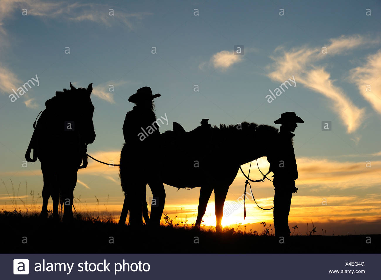 Cowgirl e cowboy con i cavalli al tramonto, Saskatchewan, Canada, America del Nord Foto Stock