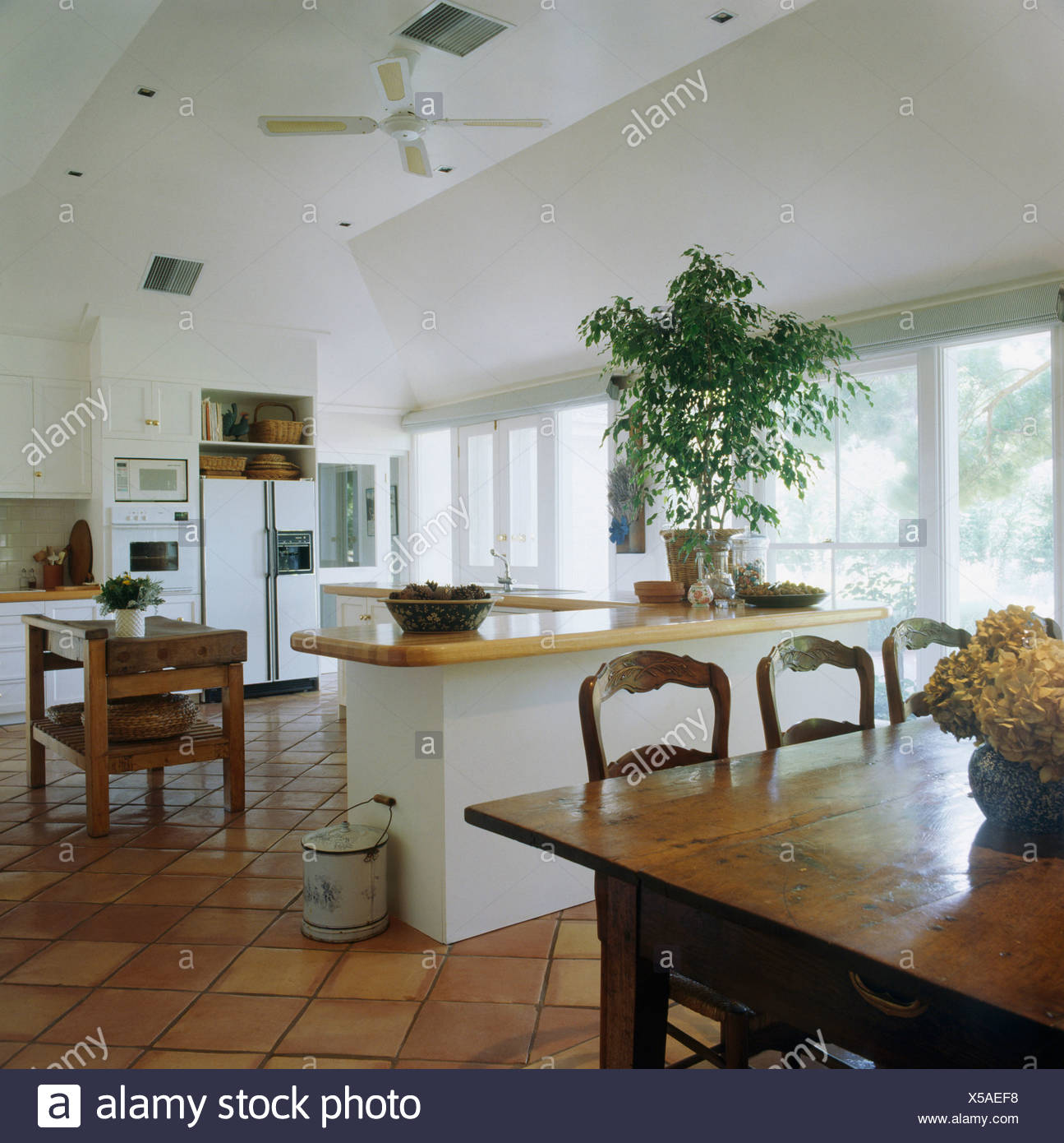 Sedie Antiche E Legno Lucidato Tabella Nel Grande E Moderno Di Colore Bianco A Pianta Aperta Con Cucina E Sala Da Pranzo Con Alte Houseplant Sul Piano Di Lavoro Foto Stock