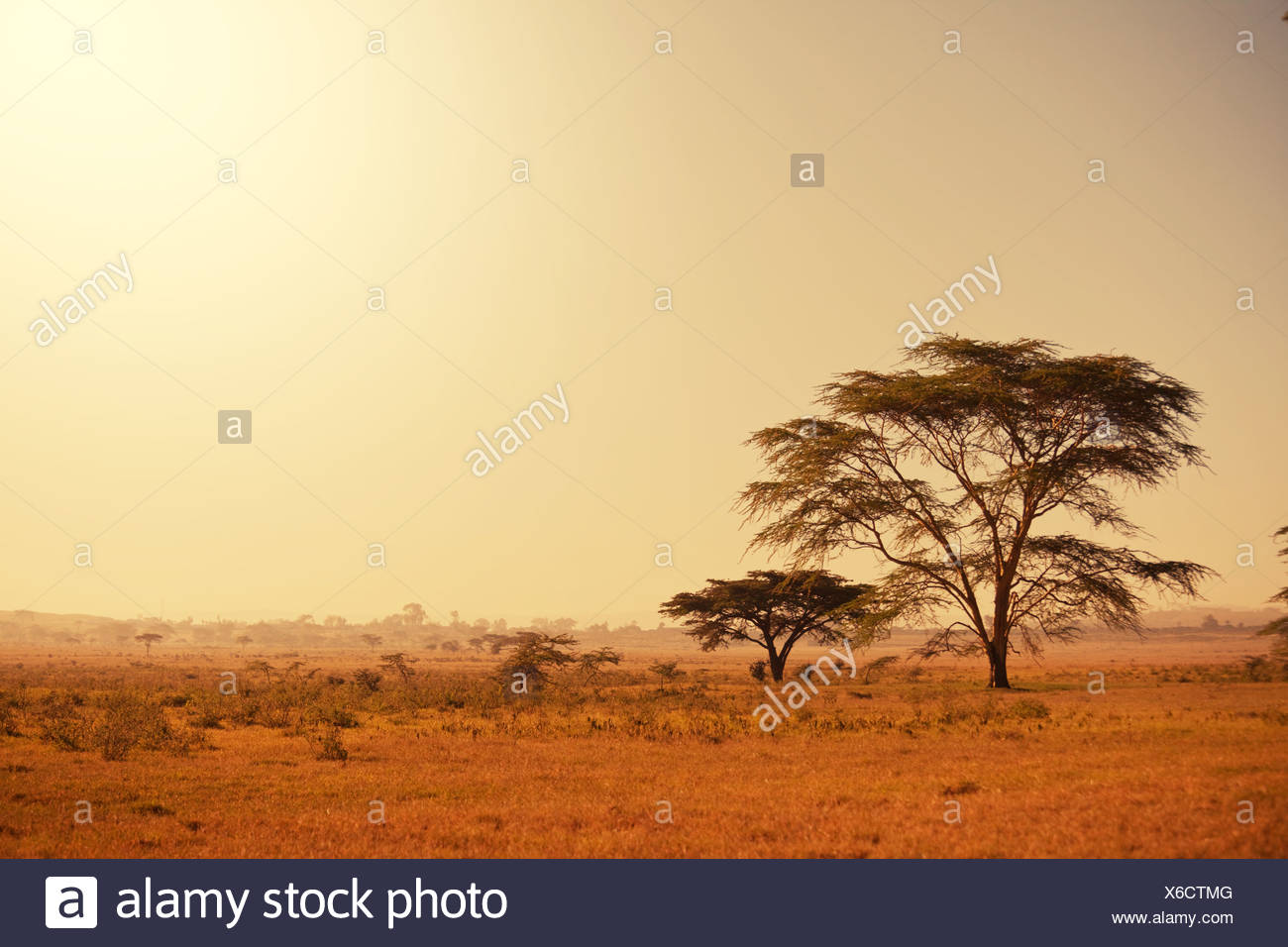 Paesaggi Africani Foto Stock Alamy