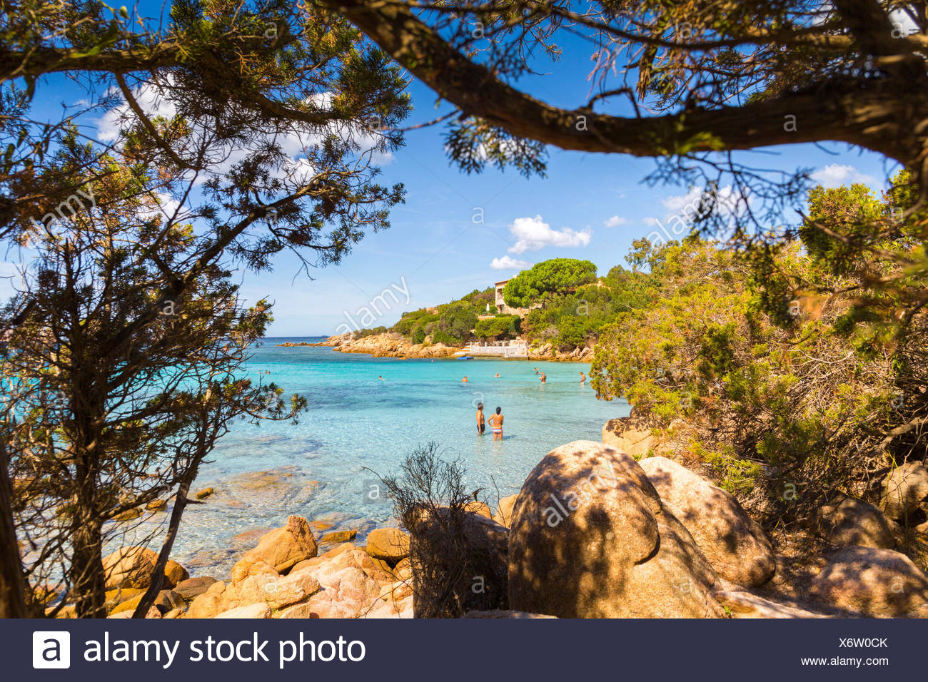 Rocce E Alberi In Spiaggia Di Capriccioli Arzachena Costa