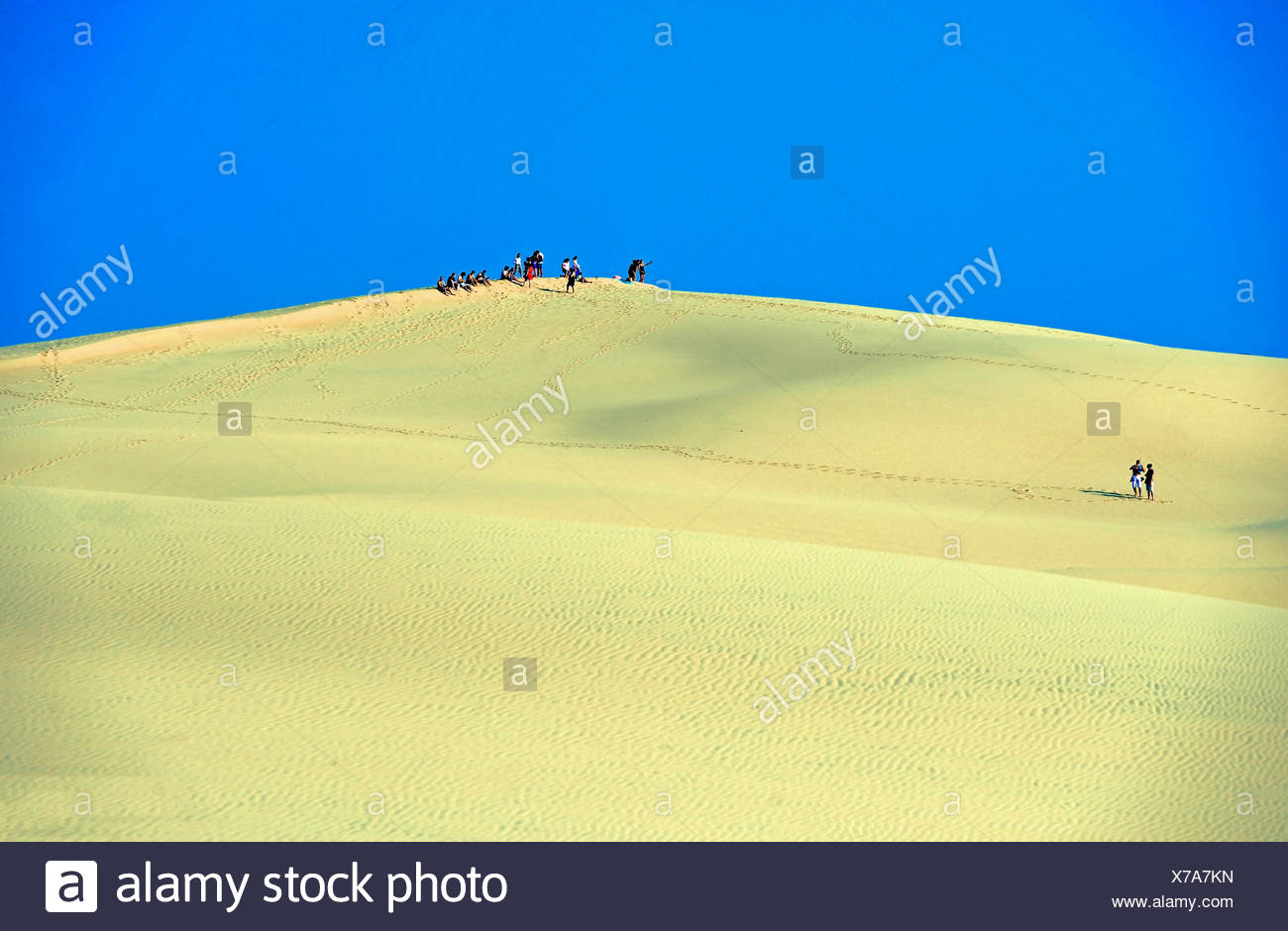 Dune Di Pilat La Piu Alta Duna Di Sabbia In Europa In Francia In Arcachon Foto Stock Alamy