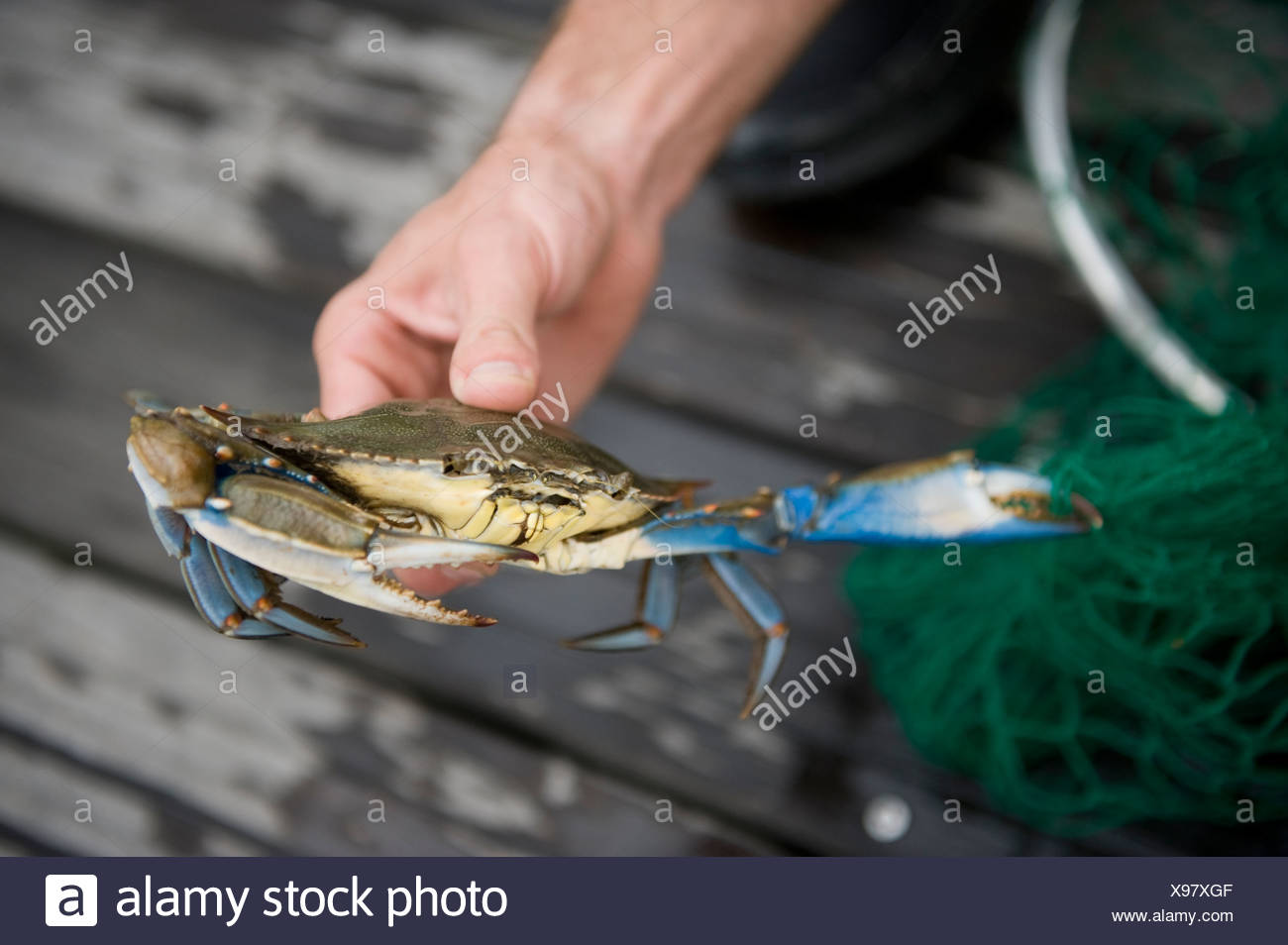 risalente a un pescatore granchiobuoni siti di incontri come POF