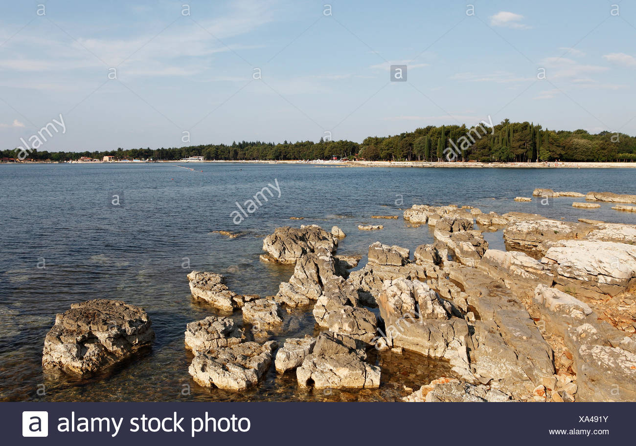 Spiaggia Rocciosa Baia A Bordo Di Una Foresta Mare Umag