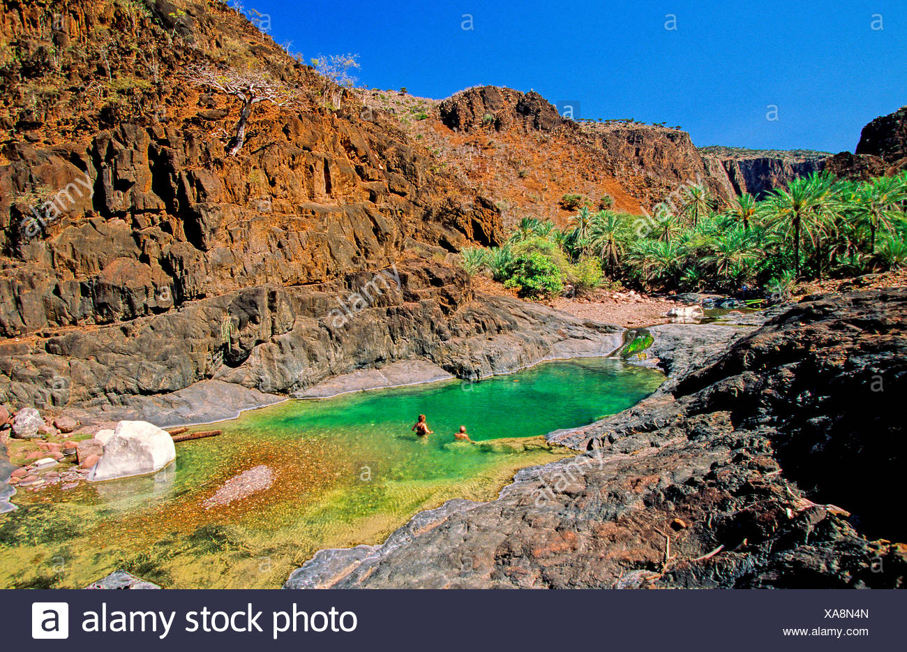 Canyon Piscine
