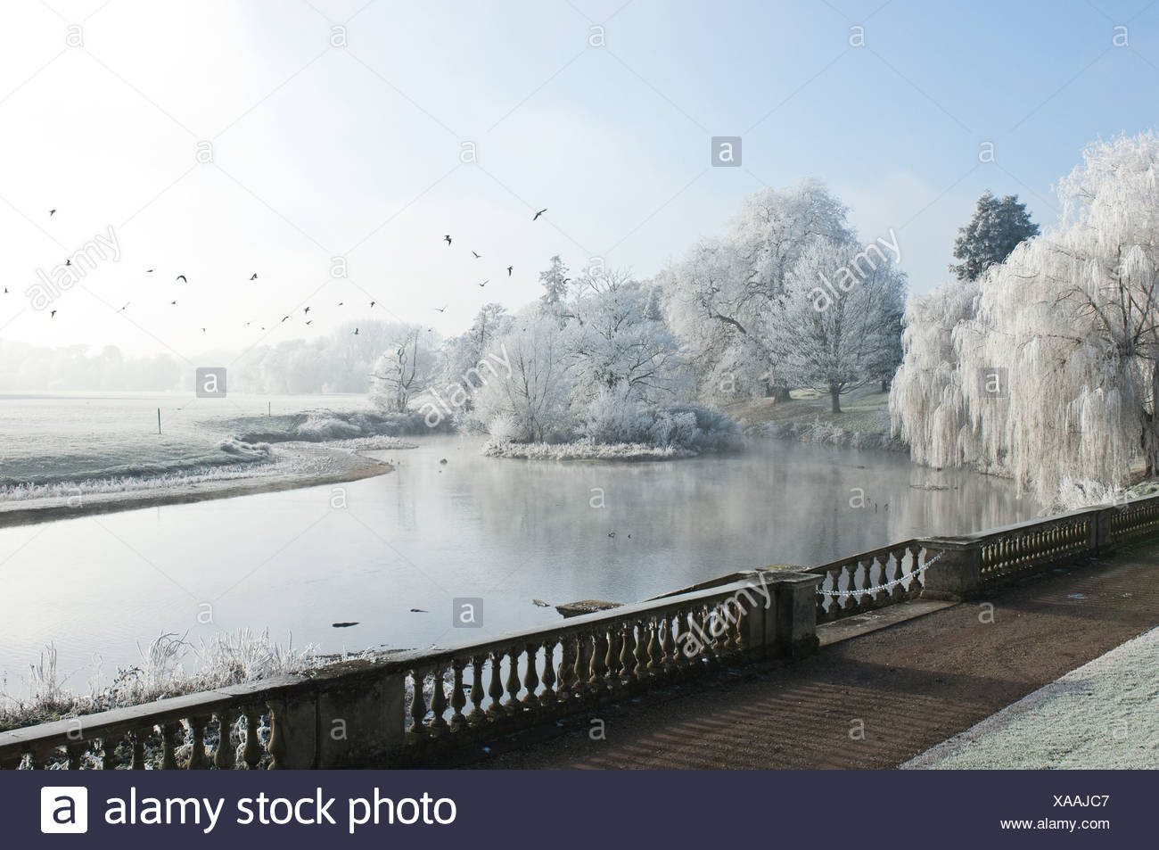 Gelido lago in inverno Foto Stock