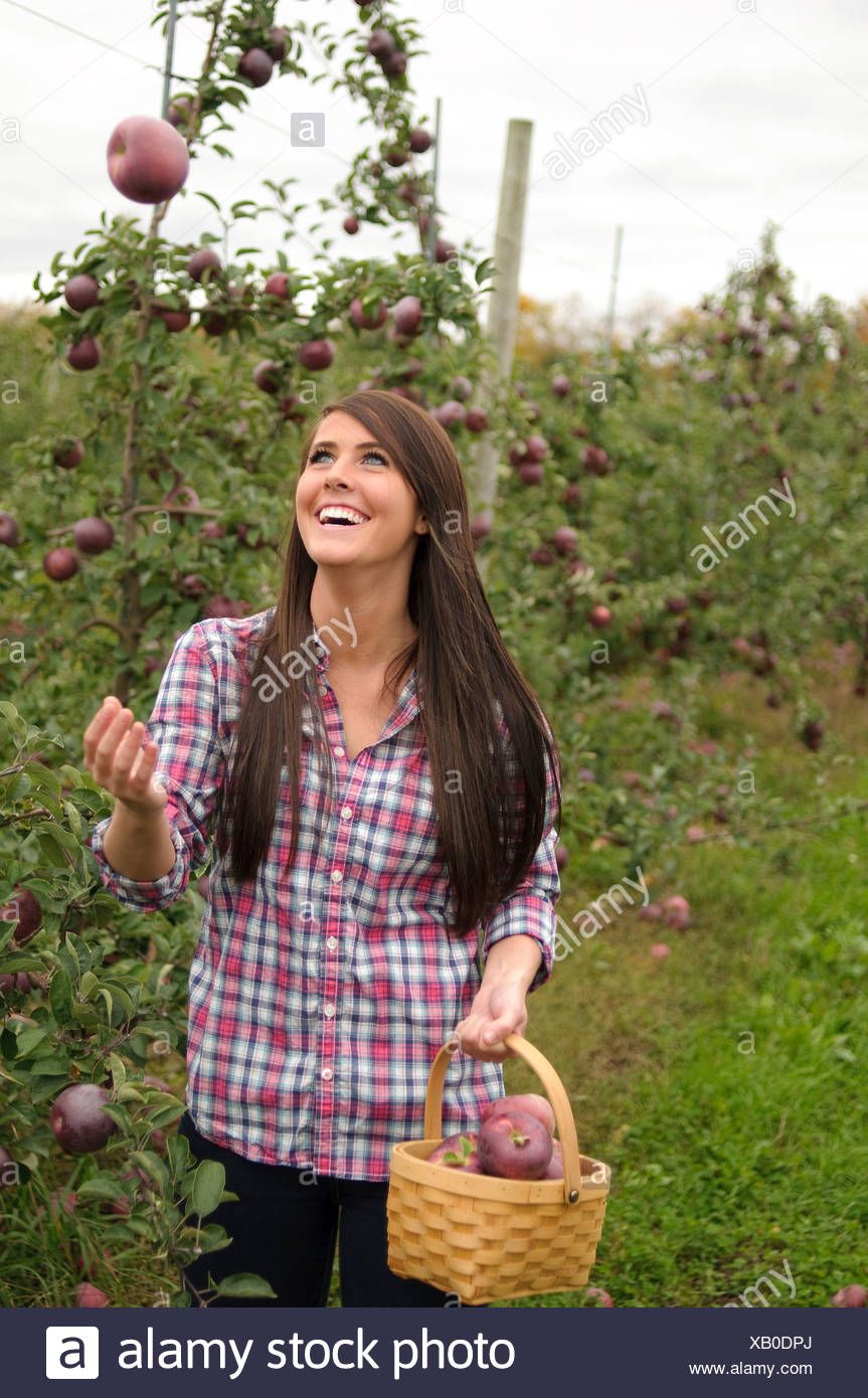 Giovane donna nel frutteto, gettando apple nell'aria Foto Stock