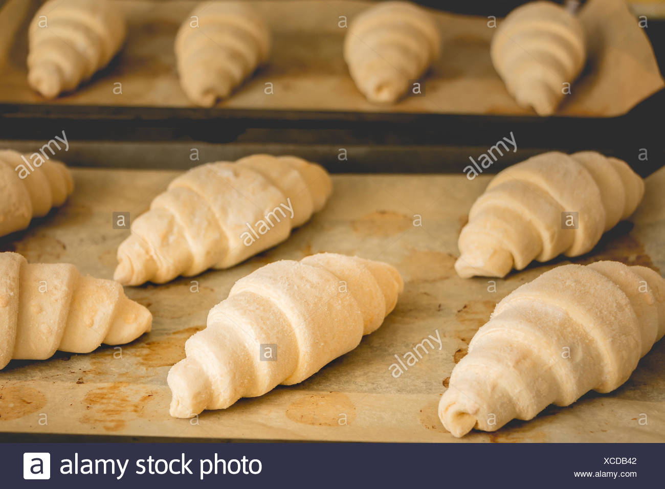 Cornetti Surgelati Sulla Carta Di Cottura Foto Stock Alamy