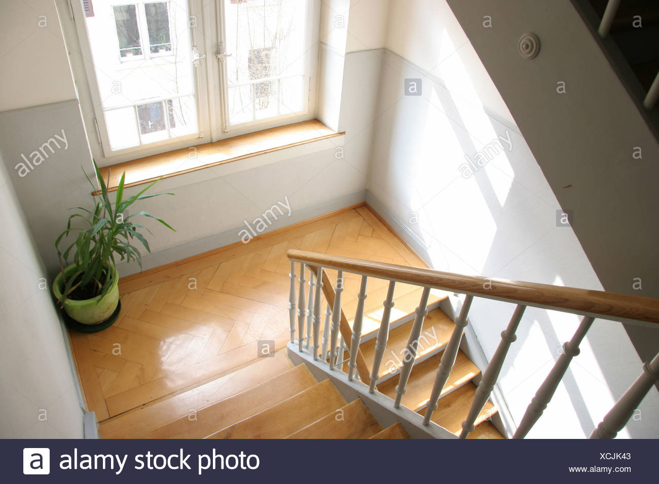 La massa di fondo motivi home casa case allinterno della pianta ... Scale interno casa