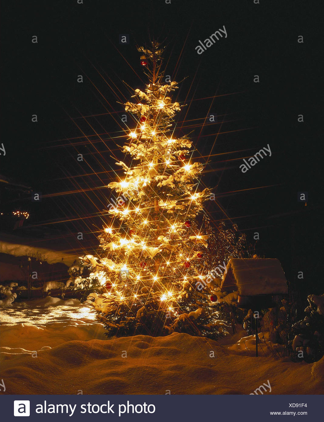 Albero Di Natale Yule.Inverno Albero Di Natale Illuminazione Notte Inverno Natale Yule Marea Per Natale L Albero Di Natale Luci Illuminateds Umore Weihnachts Fiaba Favola Invernale Romanticamente Atmosferici Neve Filtro A Stella Foto Stock Alamy