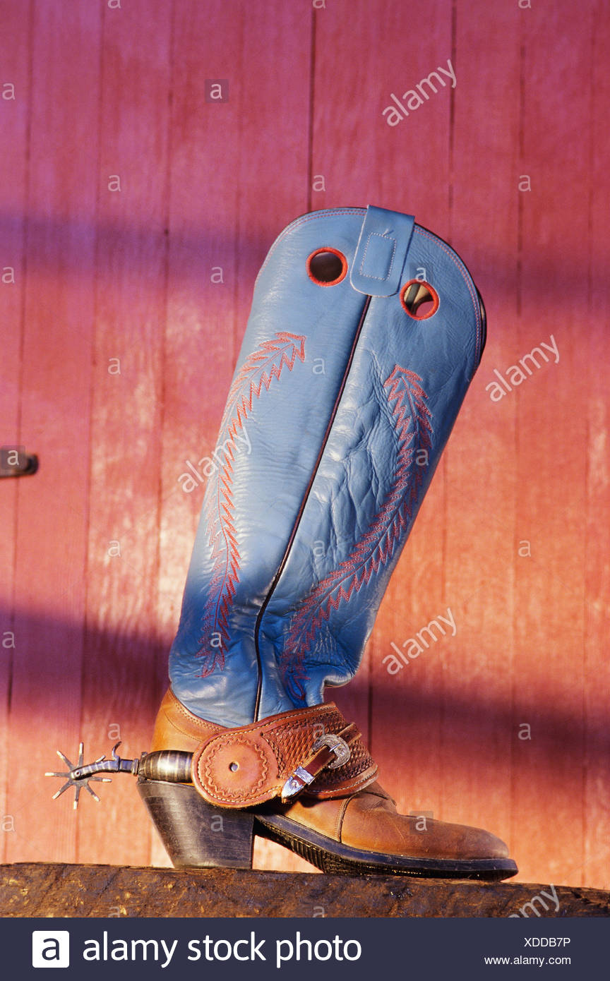 Stivali Cowboy Scamosciati | Western And Cowboy - Foto 11