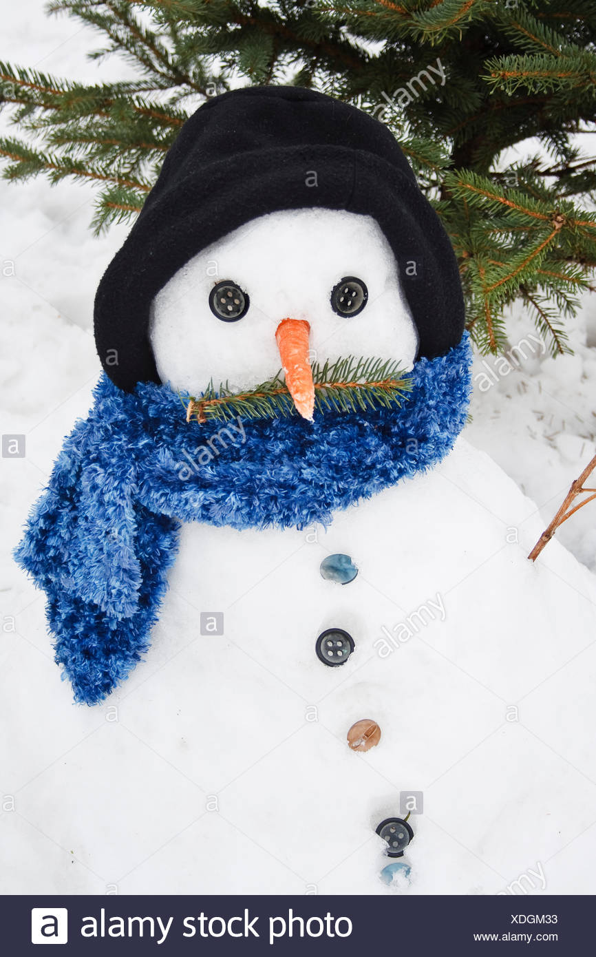 Pupazzo Di Neve Con Cappello Sciarpa E Carota Naso Foto Stock Alamy