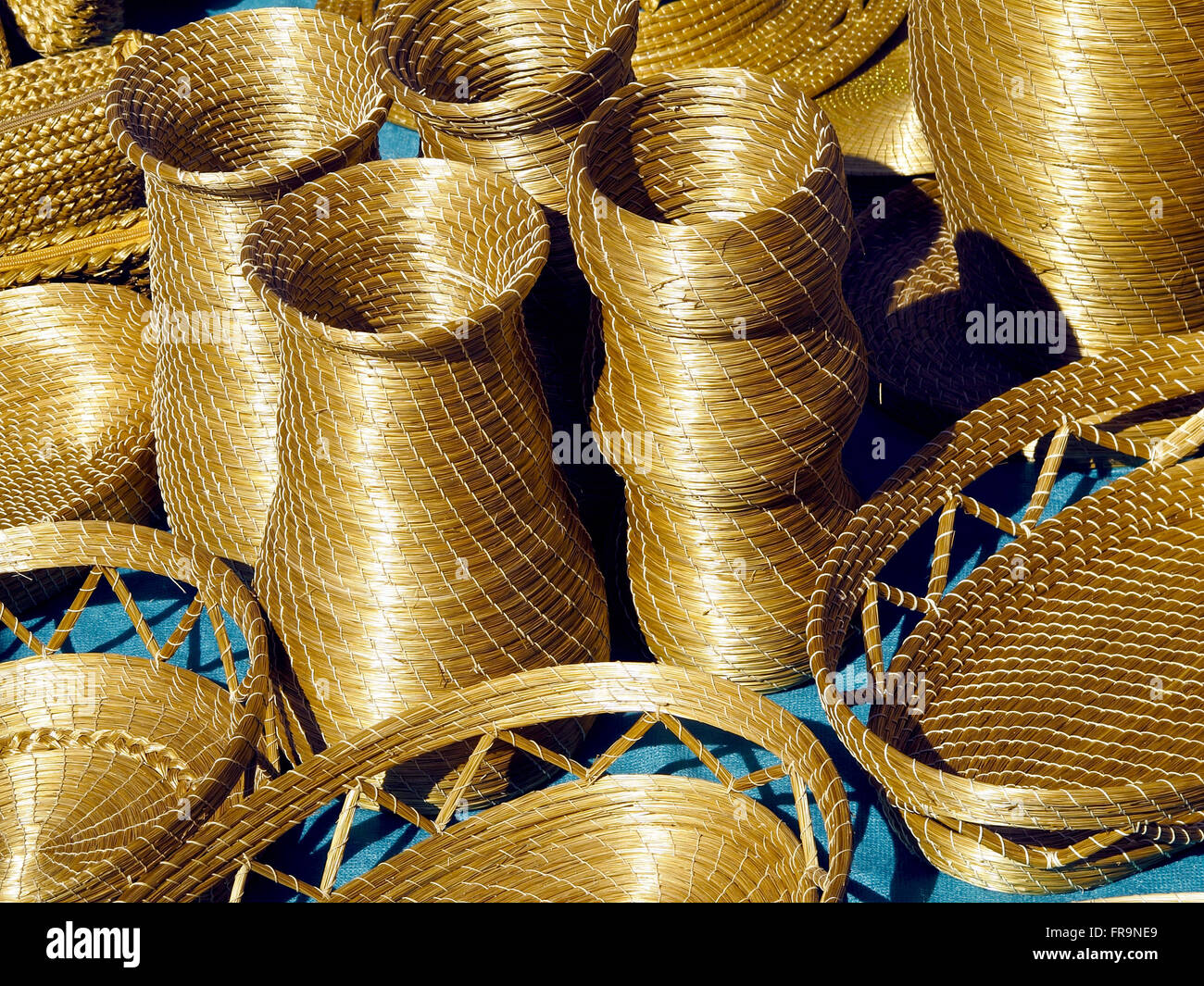 Buriti Fotos& Buriti Imagens de Stock Alamy Artesanato Em Mdf Osasco ~ Buriti Fotos& Buriti Imagens de Stock Alamy
